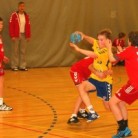 5. flokkur karla keppnisfer janar 2011