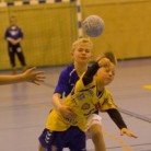 6. flokkur oktber 2013