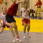 mynd_8.jpg
