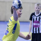 6. flokksmt 5.-6. oktber (Hannes)