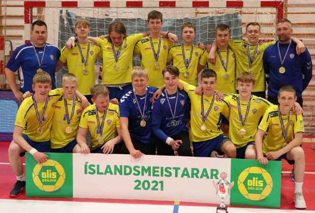 Handboltafingar hefjast  mnudaginn