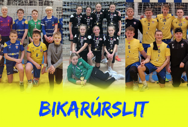 rj li KA og KA/rs  bikarrslitum