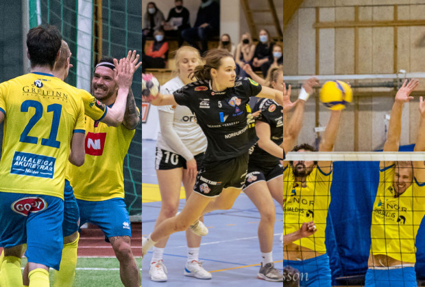 Myndaveislur fr heimasigrum grdagsins