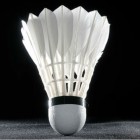 Norurlandsmt  badminton