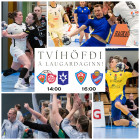 Handboltatvhfi  laugardaginn!