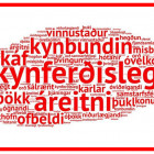 KF fyrirlestrar  desember