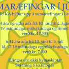 Sumaræfingar í júdó hefjast 10. júní